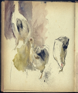 Abbozzo di galline Bianchi, Mosè