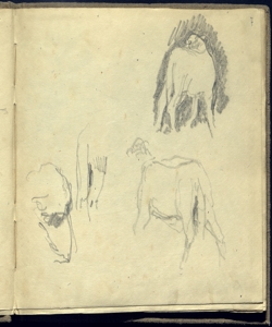 Schizzi di pecore Bianchi, Mosè