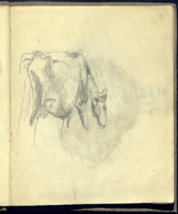 Mucca al pascolo Bianchi, Mosè