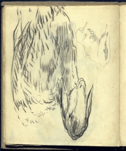 Pecora Bianchi, Mosè