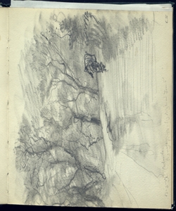 Strada alberata Bianchi, Mosè