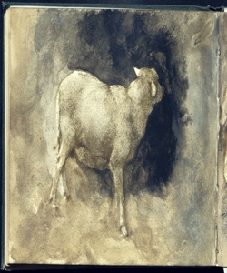 Studio di una pecora Bianchi, Mosè