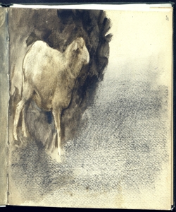Studio di una pecora Bianchi, Mosè