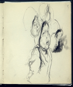 Teste di bimbi Bianchi, Mosè