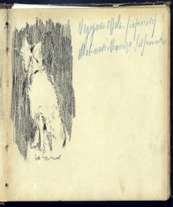 Gatto Bianchi, Mosè