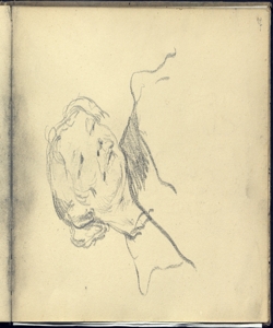 Testa di ragazzo Bianchi, Mosè