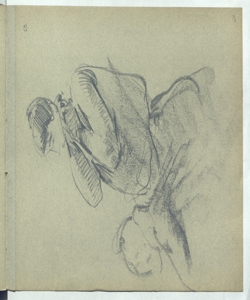 Figura femminile Bianchi, Mosè