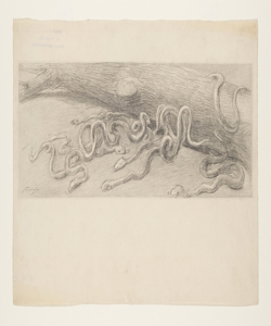 Illustrazione per i Promessi Sposi. Serpi velenosi Previati, Gaetano