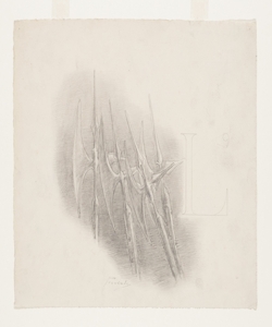 Illustrazione per i Promessi Sposi. Lettera L - Armi Previati, Gaetano