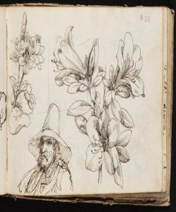 Uomo con cappellaccio e studio di fiori Macinata, Giuseppe