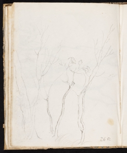 Studio d' alberi Ronzoni, Pietro