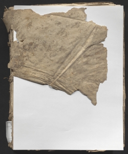 Tractatus locati et conducti, in quo exacte de pensionibus, fructibus, caducitatibus, remissionibus, salarijs, & similibus, noua, quotidiana, & practicabilis materia pertractatur. Vincentio Carocio Tudertino i.c. clarissimo authore ... Ad illustrissimum Ascanium Columnam cardinalem amplissimum