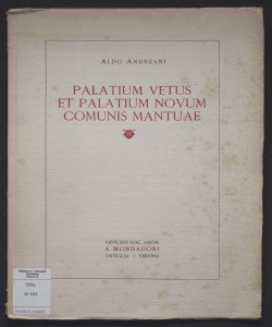 Palatium vetus et palatium novum comunis Mantuae / Aldo Andreani