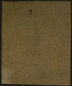 ms. XXI.B.70 - Libro delle inscrizioni dei pro-notari lodigiani approvati dal Tribunale d'appello