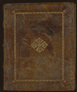 ms. XXI.B.66 - Matriculae venerabilis collegii dominorum notariorum Laudae, volume 5