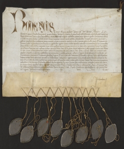 S. 012, perg. 0226 (Litterae patentes indulgentiae, 1488 aprile 14)