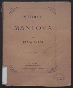 Studi intorno al municipio di Mantova dall'origine di questa fino all'anno 1863 ai quali fanno seguito documenti inediti e rari / per Carlo D'Arco - V. 3