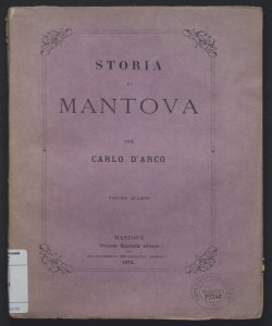 Studi intorno al municipio di Mantova dall'origine di questa fino all'anno 1863 ai quali fanno seguito documenti inediti e rari / per Carlo D'Arco - V. 4