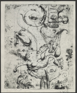 Disegno - studi per elementi decorativi - Raccolta Martinelli vol. IX - Milano Civiche Raccolte d'arte