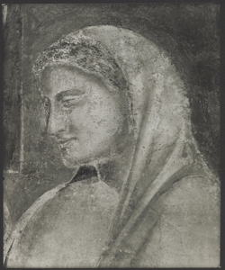 Affresco - Storie di S. Giovanni Battista - Imposizione del nome al Battista -Giotto - Firenze - Chiesa di Santa Croce - Cappella Peruzzi