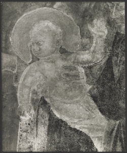 Affresco - Storie di S. Giovanni Battista - Imposizione del nome al Battista -Giotto - Firenze - Chiesa di Santa Croce - Cappella Peruzzi