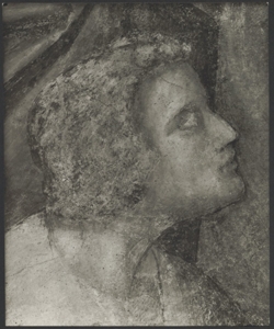 Affresco - Storie di S. Giovanni Evangelista - Resurrezione di Drusiana - Giotto - Firenze - Chiesa di Santa Croce - Cappella Peruzzi