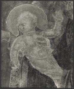 Affresco - Storie di S. Giovanni Battista - Imposizione del nome al Battista -Giotto - Firenze - Chiesa di Santa Croce - Cappella Peruzzi