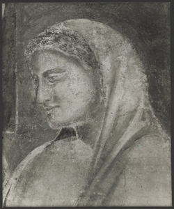 Affresco - Storie di S. Giovanni Battista - Imposizione del nome al Battista -Giotto - Firenze - Chiesa di Santa Croce - Cappella Peruzzi