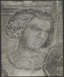 Affresco - Storie di S. Giovanni Battista - Banchetto di Erode -Giotto - Firenze - Chiesa di Santa Croce - Cappella Peruzzi