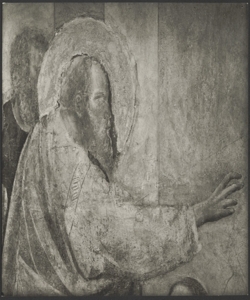 Affresco - Storie di S. Giovanni Evangelista - Resurrezione di Drusiana - Giotto - Firenze - Chiesa di Santa Croce - Cappella Peruzzi
