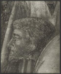 Affresco - Storie di S. Giovanni Evangelista - Resurrezione di Drusiana - Giotto - Firenze - Chiesa di Santa Croce - Cappella Peruzzi