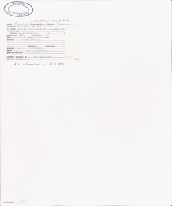 Aconitum lycoctonum L. emend. Koelle