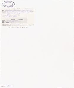 Aconitum degeni G¿yer subsp. valesiacum (G¿yer) Mucher