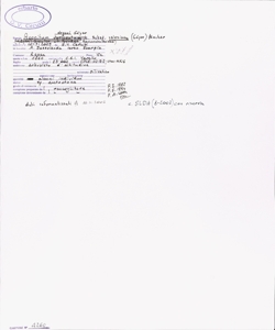 Aconitum degeni G¿yer subsp. valesiacum (G¿yer) Mucher