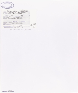 Achillea nobilis L. s.l.