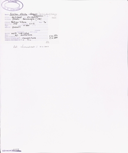 Achillea stricta (W.D.J. Koch) Schleich. ex Gremli