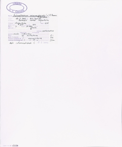 Achnatherum calamagrostis (L.) P. Beauv.