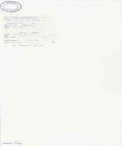 Agrostis schraderiana Bech.