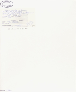 Agrostis stolonifera L.