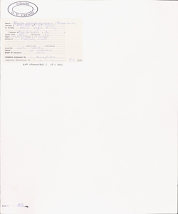 Alisma plantago-aquatica L.