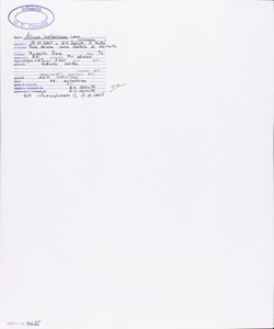 Allium lusitanicum Lam.