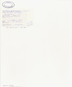 Allium sphaerocephalon L.