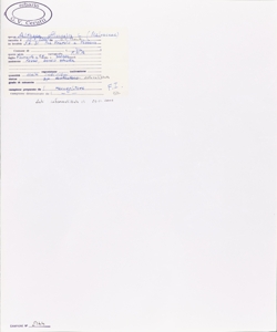 Althaea officinalis L.