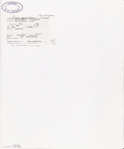 Allium paniculatum L. subsp. paniculatum