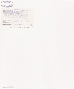 Amaranthus retroflexus L.