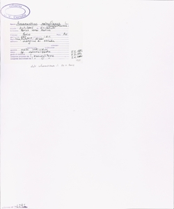 Amaranthus retroflexus L.