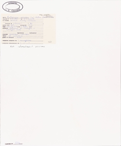 Anthriscus sylvestis (L.) Hoffm. subsp. sylvestris