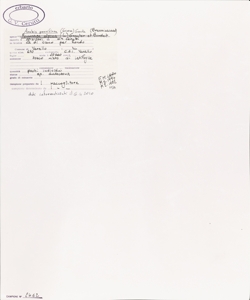 Arabis pauciflora (Grimm) Garcke