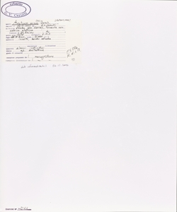 Arctium minus (Hill.) Bernh.