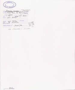 Artemisia campestris L. subsp. campestris